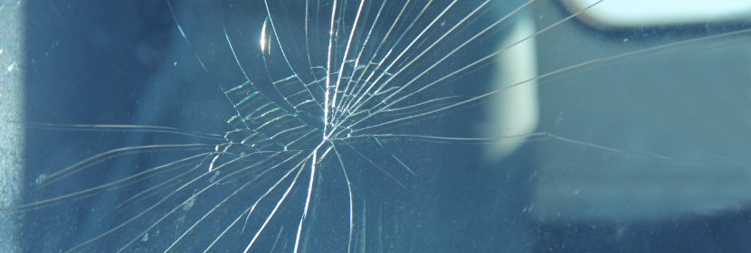 van insurance claim & assistance